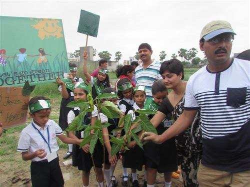 Lend a Hand to Save The Trees