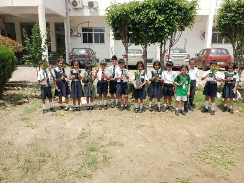 Plantation Drive at Excellia School