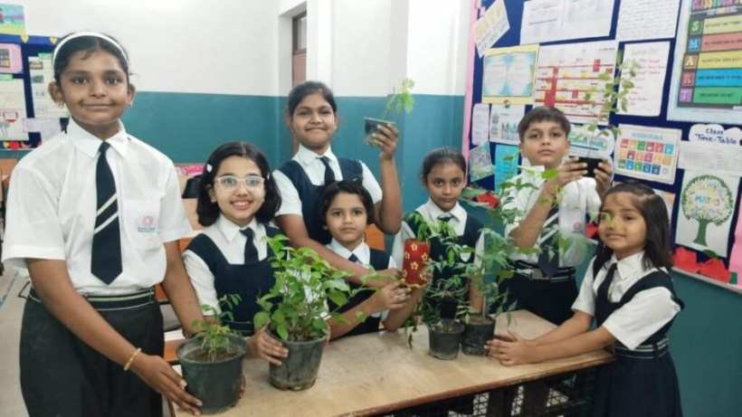 Plantation Drive 2025