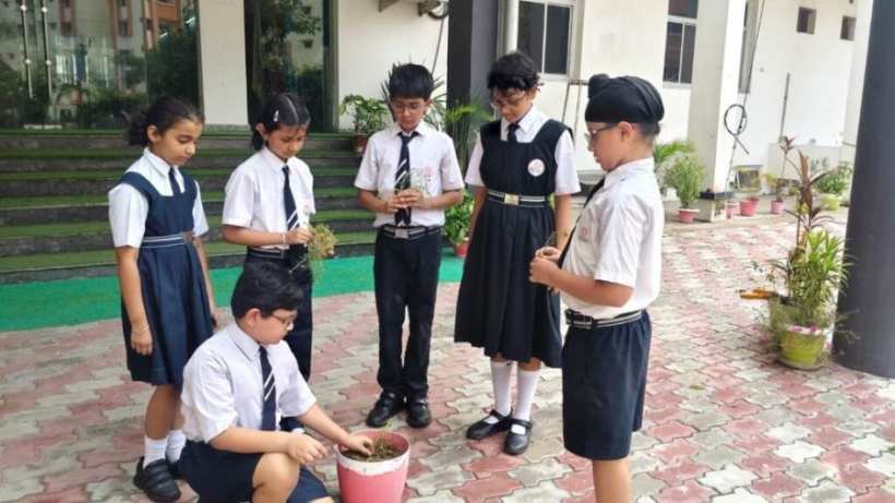 Plant Today, Breathe Tomorrow – Little Hands, Greener Earth!